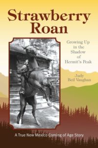 Strawberry Roan by Judy Beil Vaughan