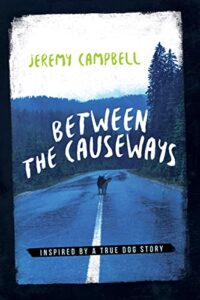 Between the Causeways by Jeremy Campbell