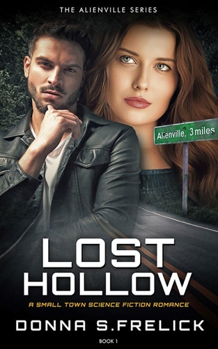Lost Hollow by Donna S. Frelick