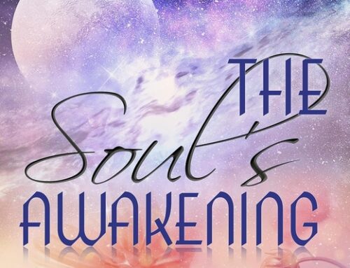 Review: The Soul’s Awakening by Shireen Anne Jeejeebhoy