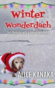 Winter Wonderdach by Alice Kanaka